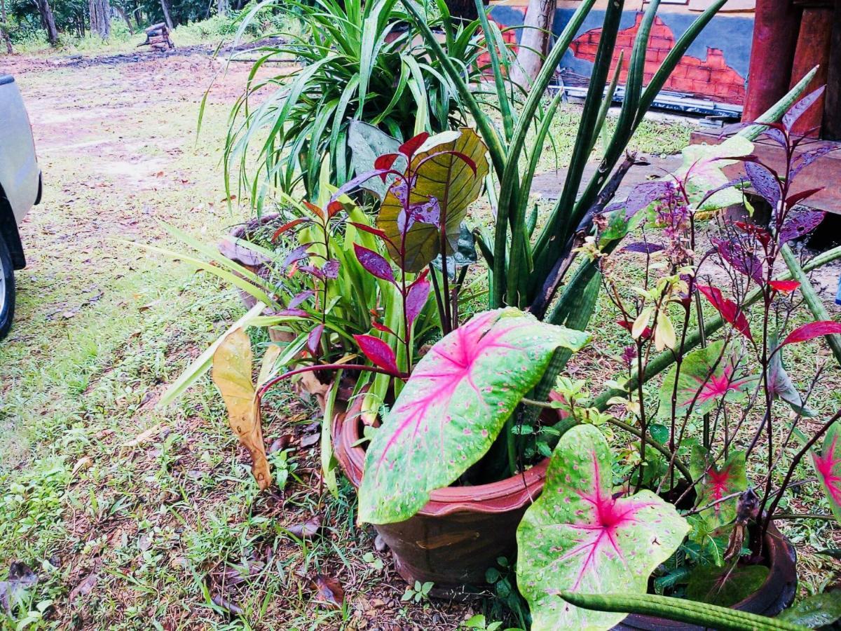 Baan Jing Jai Homestay Resort Lanta Koh Lanta Bagian luar foto
